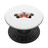 Photo Gallery spotted lanternfly trap squash them all ninja lantern fly popsockets popgrip intercambiabile Photo Gallery spotted lanternfly trap squash them all ninja lantern fly popsockets popgrip intercambiabile