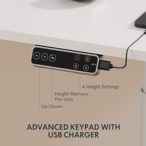 Image of FLEXISPOT E6 Pro Large 60 inch x 24 inch Dual Motor Electric Standing Desk, Organic Modern Oval Leg Design, 3-Stage Height Adjustable Sit Stand Desk with Heavy Duty 330lbs, White Desktop, White Frame