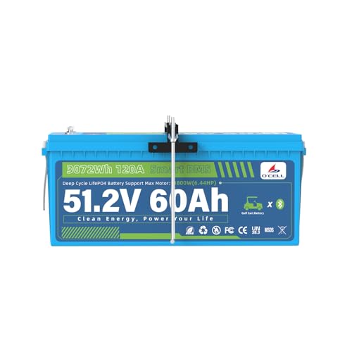 48V LiFePO4 Battery 60Ah, Deep Cycle Lithium Iron Phosphate