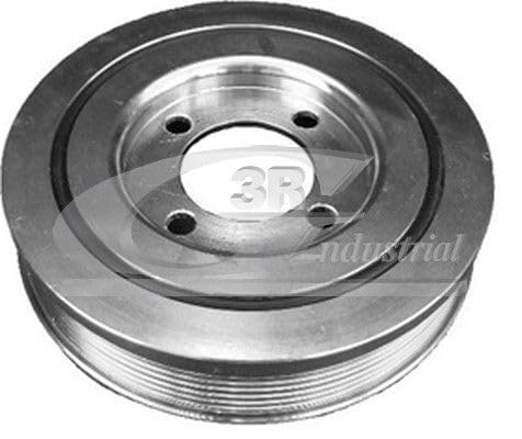 3RG INDUSTRIAL - Polea Ciguenal- OEM 0515S2 515S20 - Piezas para Coche Recambios Motor y Otras Partes de Vehículo | Compatible con los Modelos de Coche y Moto indicados más Abajo.