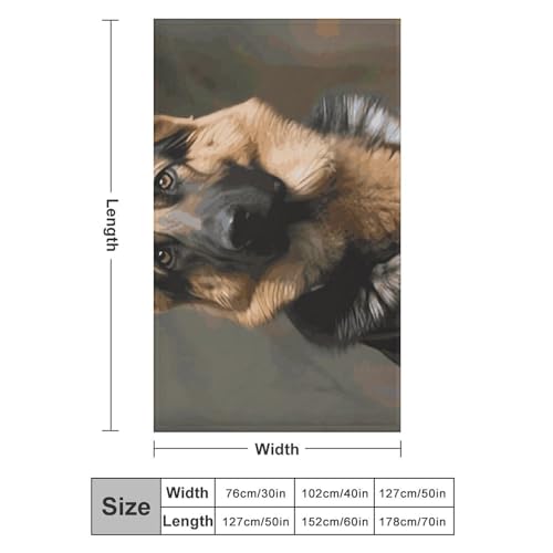 Couverture en flanelle pour chien idéale pour protéger le canapé et le lit - 3