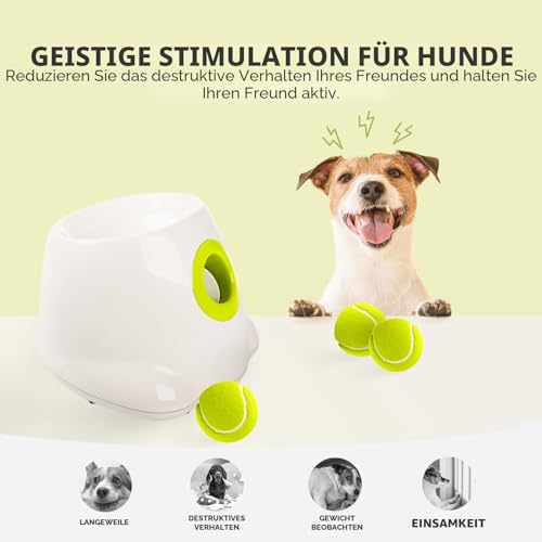 ALL FOR PAWS Automatischer Ballwerfer für Hunde – Interaktive Ballwurfmaschine mit 3Pcs 2' Tennisbällen, für kleine & mittlere Hunde, Hundespielzeug, Interaktives Hundespielzeug