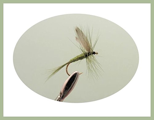 Set de pêche contenant40 appâts en Forme d’éphémères Mouches nymphes etc. pour pêche à la Mouche