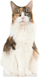 CAT - Calico CAT - Life Size Cardboard Cutout Standup People with Support Standee | Animals -