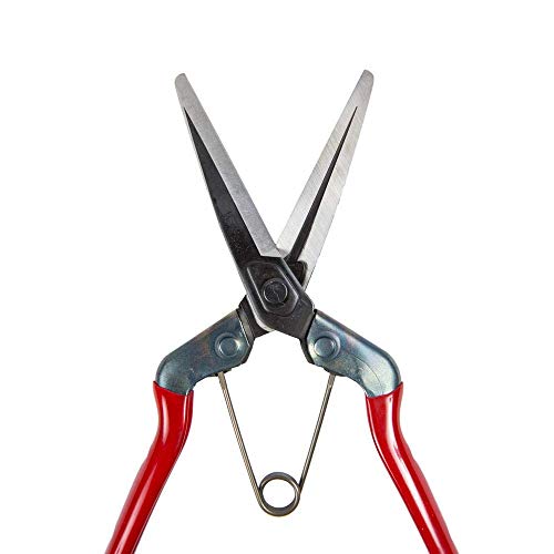 CHIKAMASA 8250010 schaar T 702 210 mm - Afbeelding 3