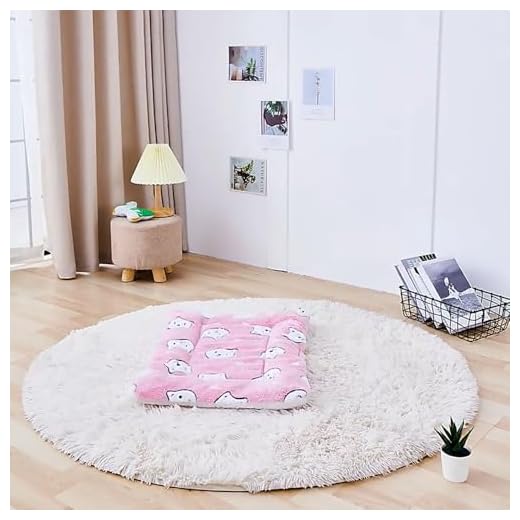 12.6 * 9.84 inch Warm and Soft Cute Bed Blankets in Winter