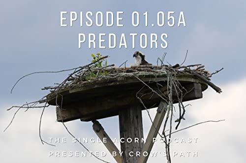 01.05a – Predators cover art