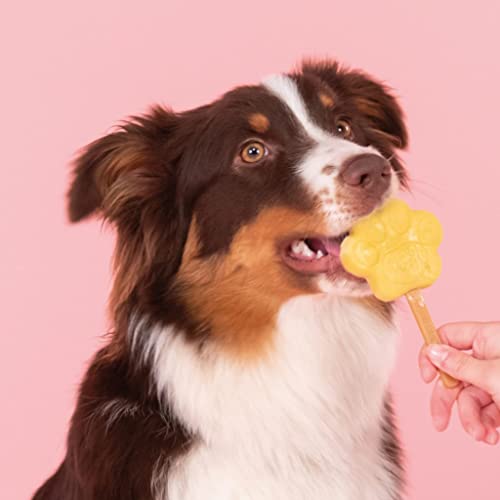 Smoofl Hundeeis, Premium Hundesnacks: EIS Fuer Hunde als Snack und zur Abkuehlung im Sommer und als gesunde Hundeleckerli mit erfrischender Wirkung, Hundeeis mit Apfel Geschmack