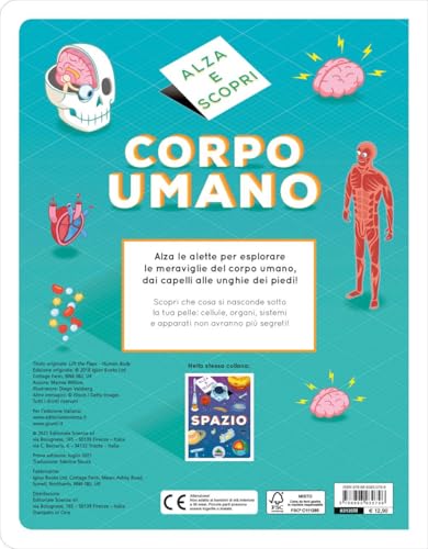 Corpo Umano. Alza E Scopri - 2