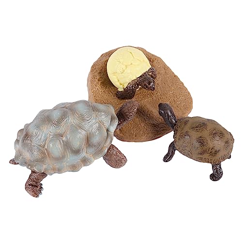 Generic �J���̐����T�C�N���͌^ �v���X�`�b�N���t�B�M���A �������� �q���p�w�K���ށA���R�ώ@�⋳�犈���ɓK�������C�t�T�C�N���Z�b�g