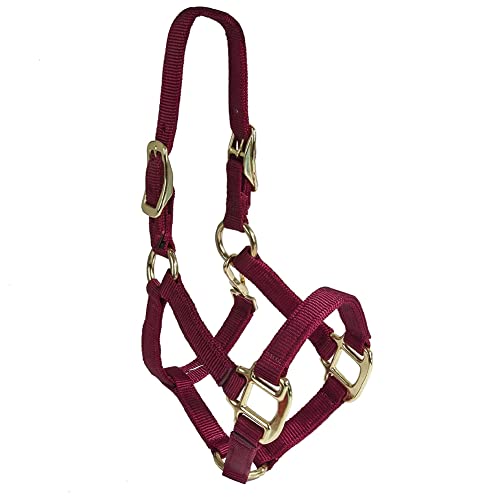 Intrepid International Miniature Horse Nylon Halter - Maroon, 3/4