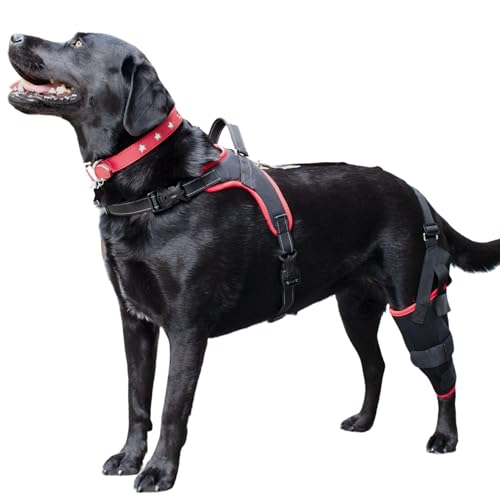 Image of Dog Knee Brace with Harness - Premium Support for Torn ACL, Hind Leg Injuries, Luxating Patella, Arthritis & Cruciate Ligament Care, Dog Leg Brace Back Leg - Right Med
