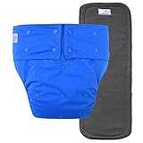 Reusable Adult Diapers for Women and Men – Teen Adult Special Needs Incontinence Cloth Diaper (Blue)