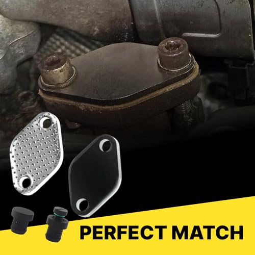 Hugwish AGR delete kit für Dieselmotoren 3.0 M57N2 1171778999 1117804379, EGR Ventil Ausbausatz für M57N 3er E46 5er E60 E61 7er E65 X3 E83 X5 E53