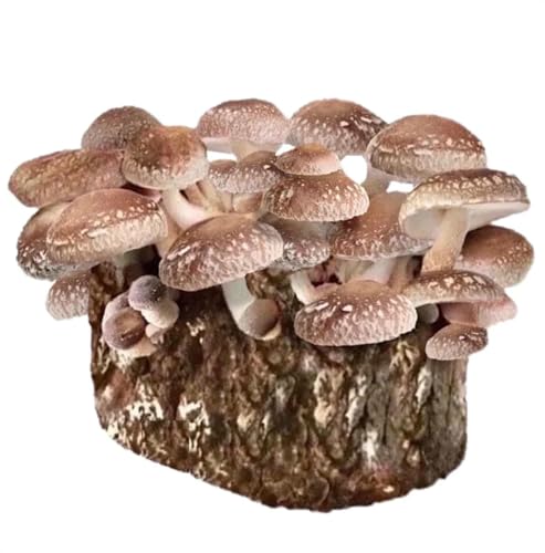 Sproushi 4 LB Capsules