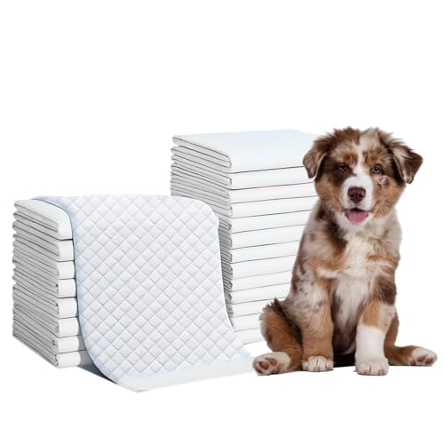 Image of PETS EMPIRE Leak-Proof Pet Training Pads, 10 Pads - Pee Pads for Dogs - Anti-Slip, Quick-Dry & Odor Controlling Disposable Pee Pads for Cats - Dog Potty Training Pads for Puppies, Dogs,Cats & Rabbits