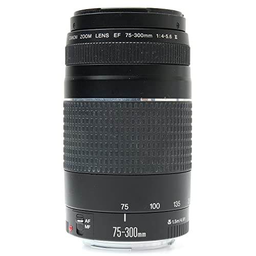 Canon Ef 75-300Mm F/4-5.6 Iii Telephoto Zoom Lens For Canon Slr Cameras #TOP13