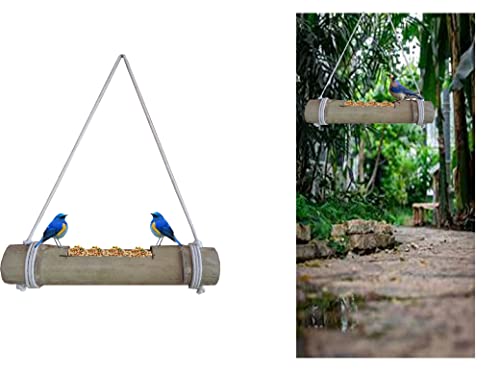 Image of Bird Feeder for Birds Natural Bamboo Made (Pack of 1) Color -Natural (Green to Pale Yellow) (Code 0015)
