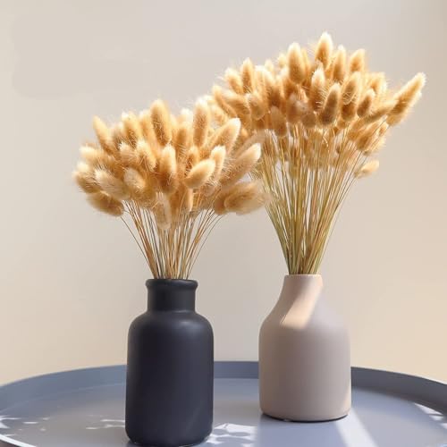 Ramo de 60 piezas de flores secas Pampas Grass Bunny Rabbit miniatura 3