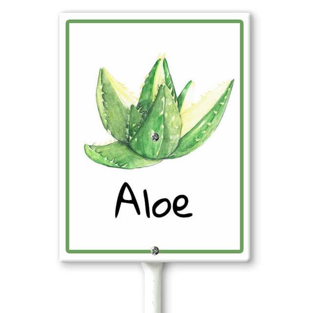 Horienteeon Aloe Marker Yard Sign with Stakes 17.5×22cm, Aluminum Garden Signs, Garden Plant Markers Garden Potted Plants Labels for Vegetable Flowers Funny Garden Stakes Decorations