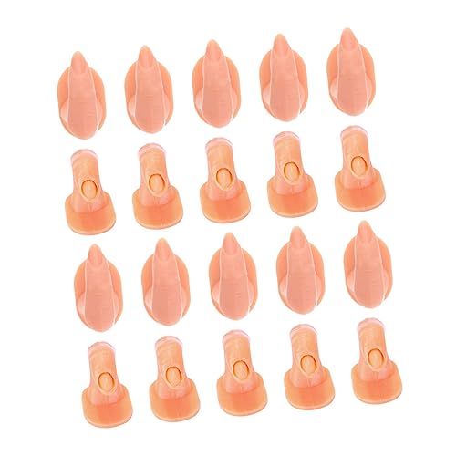 HONMEET 20VRlCA[gg[jOtBK[ }j Kp w lCnhKf tFCNlC`bv