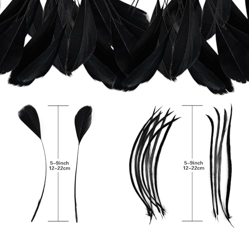 MehelloFeather Black Feathers 120Pcs Craft Feathers 2 Style for Handmade DIY Wedding Family Party Decorations Mixed Natural Feathers by MehelloFeather - Image 3