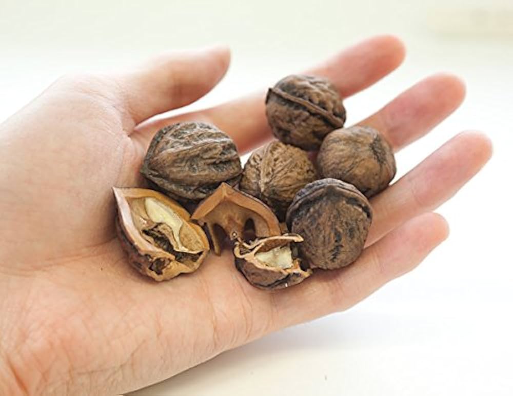 Amazon.co.jp: クルミ：オニクルミ（鬼グルミ）4～5号ポット