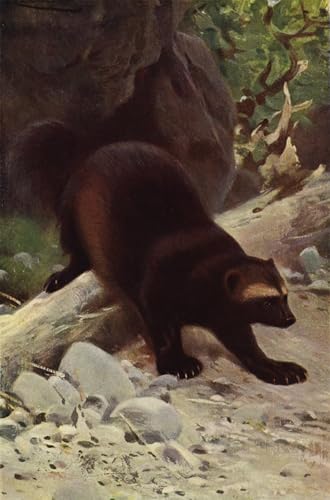 Tableaux gourmand Wilhelm Kuhnert pour décoration de bureau