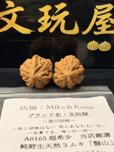 胡桃 フィギュア」の人気商品一覧 | 安い商品を通販サイトから探す