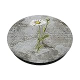Zoom IMG-1 aesthetic daisies floral cottagecore vintage