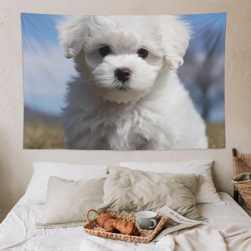 Art mural amusant VFMNT pour masquer un mur blanc vide