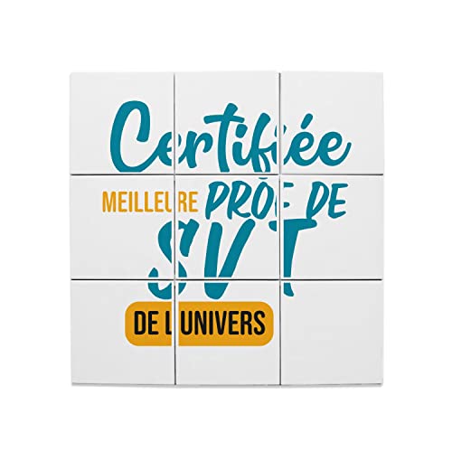 Carreaux céramique cadeau prof de SVT pour fin d'année collège