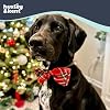 Huxley & Kent Pet Bow Tie for Dogs & Cats - Holiday Adjustable Hook & Loop Collar Accessory - Cute & Comfortable for Holidays & Celebrations - Christmas Plaid, Large #3