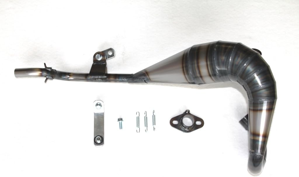 苫米地英人DVD第30弾 コグニティブブルーセルブラックスワン DVD第30弾