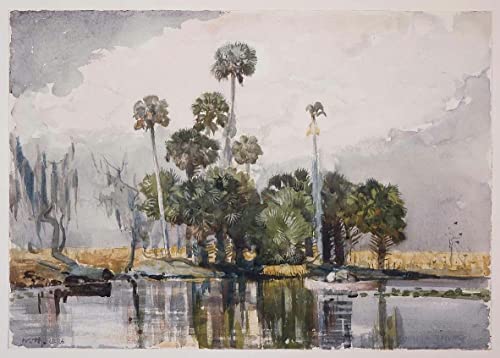 Tableaux Graffiti Art Mural Winslow Homer Impression Poster 60x90cm
