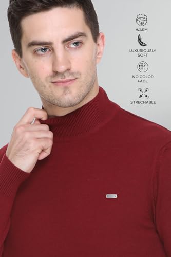 Image of GODFREY Woolen Full Sleeve Sweaters for Men Winter Wear - Turtle Neck Pullover for Men Stylish