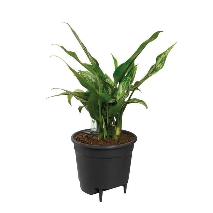 Sistema de riego automático Insert Elho 28 cm