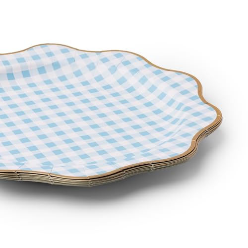 Image of Bonjour Fete Elegant Light Blue Gingham Paper Party Dinner Plates | Large Disposable Size for Baby Showers, Spring Parties & Birthday Celebrations | Premium Supplies & Decorations | Pack of 8, 11 inch