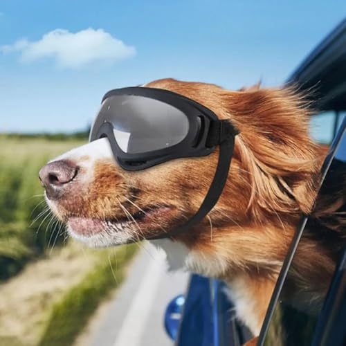 Lagnlnaoy 2pcs Windproof Dog Goggles, UV Protection, Adjustable Straps, Anti-Fog Dog Sunglasses,Driving Puppy Glasses, Small to Medium Gifts