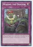 Waking The Dragon - SDAZ-EN040 - Comune - 1a Edizione