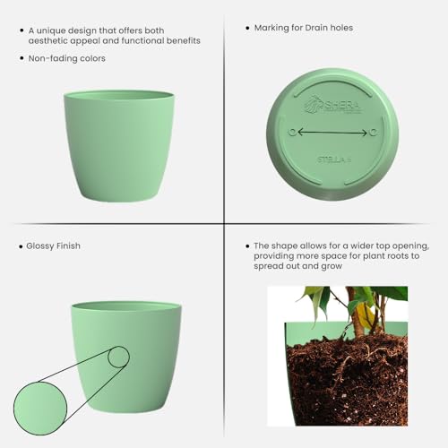 Image of YUCCABE ITALIA SHERA Stella 6 Inch Plastic Plant Pot for Home Decor Indoor Plant Pots for Living Room Plastic Flower Pot for Garden (Aqua, 6 INCH - 6 Pcs)