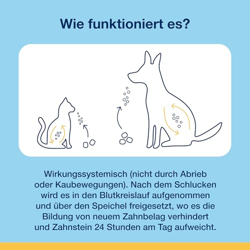 ProDen PlaqueOff Soft Chews für Zahnpflege Hund, Dose mit 60 Hunde Leckerlis, Natürliche Zahnreinigung Hund, für große Hunde, Hunde Zahnpflege für frischen Atem und Zahnbelag entfernen