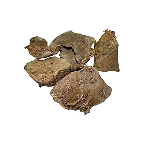 Egal LAXRA Biologische Kasturi Haldi/Wilde Kurkuma/Jungli Haldi/Curcuma Aromatica/Kasturi Manjal (100 g) - Afbeelding 3