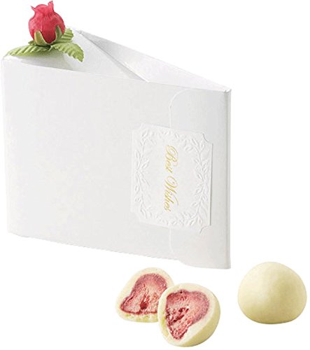 uv`[Y V[gP[L v`Mtg v zCgXgx[`R (2) P  񎟉 p[eB NX}X v[g Mtg