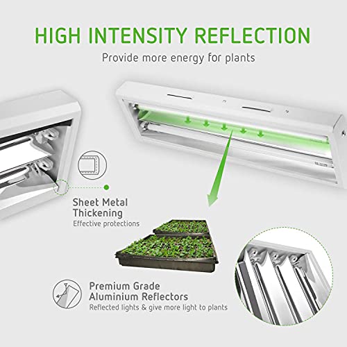 Can Succulents Grow In Fluorescent Light? Gardenia Organic