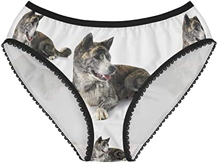 DogsMakeMeHappy Akita Inu Panties, Akita Inu Underwear, Briefs, Cotton Briefs, Funny Underwear, Panties For Women