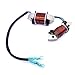 Boat Motor 855944T01 Alternator Coil for Mercury Mariner Outboard Engine 8HP 9.9HP
