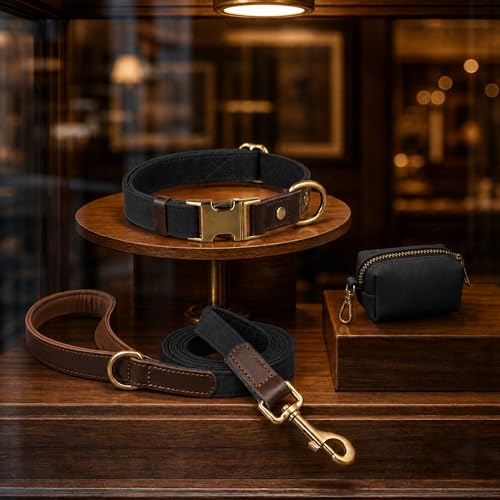 Image of Didog PU Leather Dog Collar for Medium Dogs, Soft Nylon Lining, Black M