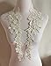 1 Pair Beautiful Black Flower Embroidery Patch Neckline Lace Applique Trims Collars Sewing DIY Crafts (Style C White)