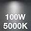 100w Daylight
